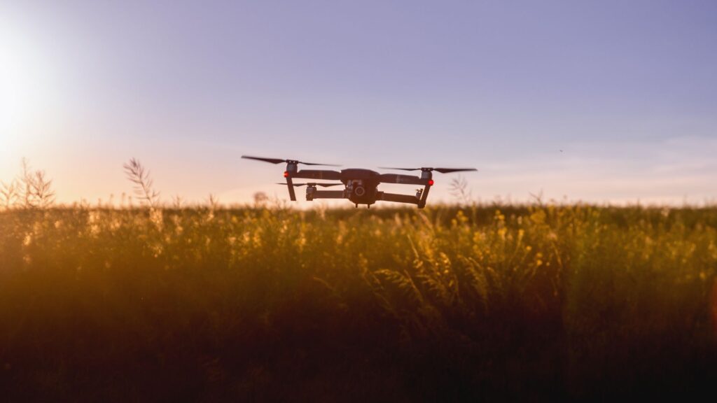 Drone voando sobre plantação.