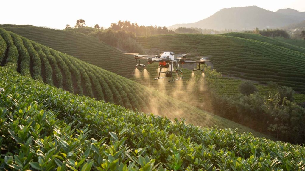 Drone agrícola pulverizando plantação de café.